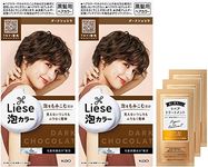 Liese Foam Color Dark Chocolate x 2 + Treatment Sample Included (Set Purchase)