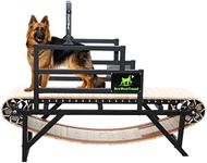 BowWowTread Dog Treadmill for Large