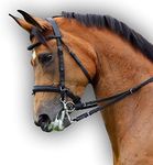 Saddlesworld Soft Padded Leather Bridle SWB1BRNC (Brown, Cob)