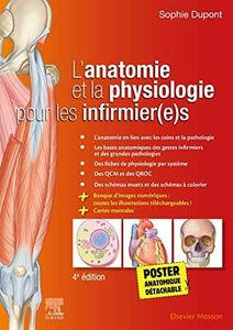 L'anatomie
