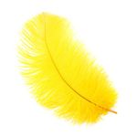 Zucker Feather Products Women Products