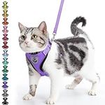 PUPTECK Cat Harness and Leash Set E