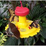 Songbird Essentials SE78200 Butterfly Feeder (Set of 1)