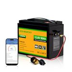 ECO-WORTHY 12V 50Ah LiFePO4 Lithium Battery with XT60 Interface, Bluetooth 5.1, Low Temp Protection, Up to 15000+ Life Cycles, Suitable for Solar, off-grid, LED, Camping