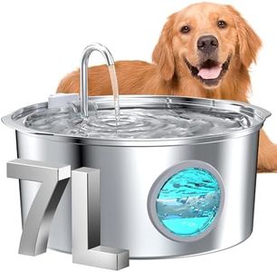 Dog Water 