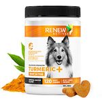 Organic Tumeric For Dogs