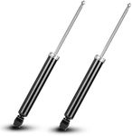 Rear Complete Strut Assembly Shock 
