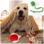 Interactive Rolling Dog Ball, Interactive cat Ball, Edible Silicone pet Equipment Sound Automatic Dodgeball, 360° Automatic Movement, (Green)