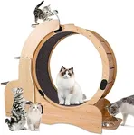 Cat Exercise Wheel Indoor, Cat Spor