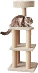 Amazon Basics Cat Tree - Indoor Cat