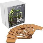 50 Bamboo Plant Labels in Gift Box (T-Type) - Wooden Plant Tags - Wood Cheese Markers (Bamboo Plant Markers - 50 Pieces)