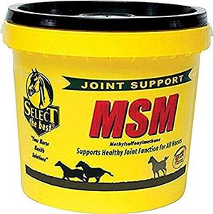 RICHDEL 784299402003 Msm Powder Joint Support for Horses, 20 lb