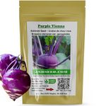 Purple Vienna Kohlrabi Seeds for Planting 1200 Seeds-5 Grams) Heirloom Non-GMO Cold-Tolerant Vegetable Seeds for Planting Outdoors in Containers or Homesteading