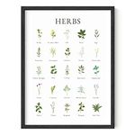 Haus and Hues Herb Pictures for Kitchen Wall Art Kitchen Herbs Wall Art and Botanical Prints Herbs Art | Kitchen Wall Art Herbs Poster and Kitchen Art | Cottage Core Decor (12x16, Unframed)