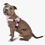 DF Co. Dog Harness | Chafe Resistan