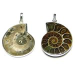 REBUY Ammonite Pendant Reiki Healing and Crystal Healing Stone Pendant for Men & Women