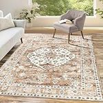 HEBE Boho Area Rug 5x7 Ft, Machine Washable Area Rugs for Living Room Bedroom, Vintage Soft Throw Rug Carpet, Non Slip Low-Pile Distressed Area Rugs for Dining Room Entryway Dorm