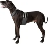 CoolerDog Dog Cooling Vest and Cool