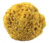 100% Natural Sea Sponge 5-6" by Spa Destinations"Creating The In Home Spa Experience" For the Perfect Bath or Shower Experience. ââ‚¬¦