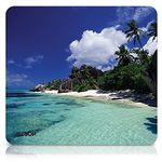 D-argent Beach Mouse Pad