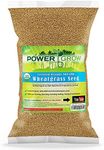 Organic Wheatgrass Seed - Certified