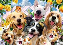 Jigsaw Puzzles for Adults 1000 Piece Happy Pets 27.56 x 19.69 Inch Puzzles for Adults Educational Challenge 1000 Pieces Puzzles for Adults