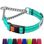 CollarDirect Reflective Dog Collar Martingale Collars Side Release Buckle Chain Training Adjustable Pet Collars (M, Neck Size 14"-17", Mint Green)