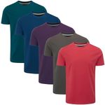 Charles Wilson 5 Pack Plain Crew Neck T-Shirt (M, Core Essentials Type 23)