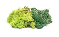 Hornby R7194 Lichen - Green Mix for Model Railway OO Gauge, Model Train Accessories for Adding Scenery, Dioramas, Woodland, Buildings and More, Model Making Kits - 1:76 Scale Model Accessory
