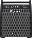 Roland Pm-200 Personal Monitor, 180 Watts of Power