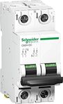 Schneider Electric 16 Ampere 2 Pole DC Solar MCB (White, SC-TP-MCB16)