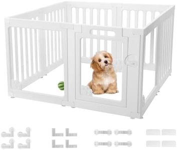 BUMUBI Dog