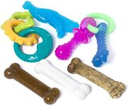 Nylabone Puppy Toy Bundle with Puppy Starter Pack, Puppy Chew Toys, Teething Chew Toys, and Bacon Puppy Treat