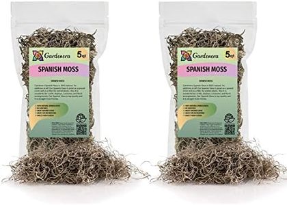 PREMIUM Natural Spanish Moss | Natural Preserved - 10 QUART - Great Ground Cover - Filler for Potted Plants (2 Bags of 5 Quart)