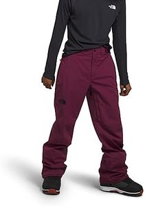 THE NORTH FACE Men's Freedom Stretch Pant - Regular, Boysenberry, Small Regular