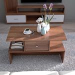 COUCH CULTURE Bourbon Engineered Wood Coffee Table | Center Table for Living Room |Tea Table, Coffee Table with Storage for Drawing Room and Office| Finish Color - Leon Teak |1 Year Warranty