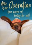 Abacus Cards After Your Operation Get Well Card - Dog with Thermometer in Bed Embossed with a Foil Finish - Eco-Friendly and Recyclable