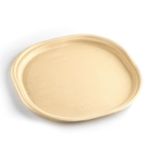 CHUK [Eco-Friendly Bagasse 12 Inch Plate, Brown, Leak-Resistant, Compostable, Chlorine-Free, Modern Style - Pack of 25