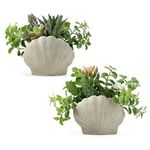 Lewondr Fake Plants Set of 2, Assorted Faux Succulents Artificial Plants with Sea Shell Pots, Artificial Greenery in Coastal Beach Decor, Ocean Seashell Series for Home Bedroom Beach Theme Party