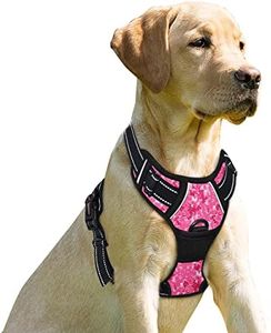 BARKBAY No