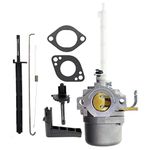 AUTOKAY 796122 Carburetor for 794593 793161 696737 20A114 20A414 20M107 Series Engines 20M114 Carb Replacements