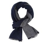 DiaryLook Mens Scarf Plaid Warm Tassel Scarves for Winter Cotton Long Classic Scarves Men Business Gifts