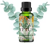 Esslux Eucalyptus Essential Oil | 100% Natural Eucalyptus Oil for Diffuser, Skin & Hair | Perfect for Humidifiers, Sinus Relief, and Aromatherapy | Ideal for Soap Making and DIY Projects, 30 ML