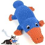 Vitscan Squeaky Dog Toys for Aggres