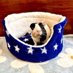 Jubbles Cuddle Cup for Exotic/Small Pets in India (dimater - 12 inches)