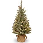 National Tree 3 Foot Snowy Concolor Fir Tree with Snowy Cones and 50 Battery Operated Warm White LED Lights in Burlap Base (SR1-328-30-B1)