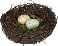 Speckled Robin's Egg Blue Yellow Moss 4 Inch Decorative Bird's Nest