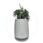 uBreathe Mini Lite Air Purifying Planter, 2 Stage Filtration, High Efficiency Coco Filter, Removes 99.99% Indoor Air Pollutants, Ultra-Quiet, Low Energy Consumption, Suitable For Diwali Gifting.