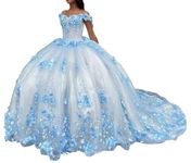 WDBFY 3D Floral Quinceanera Dresses Puffy Pearls Prom Dresses Long Tulle Off Shoulder Sweet 15 16 Dresses, Baby Blue/Train, 14