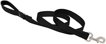 LupinePet Basics 1" Black 4-Foot Padded Handle Leash for Medium and Larger Dogs